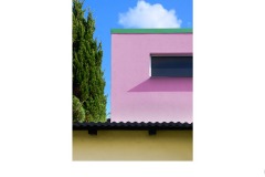 Backyard - Luis De Pieri (Commended - Open B Grade - 25 Jun 2020 PDI)