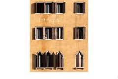 Basking in sunshine - Susan Brunialti (Highly Commended - Open A Grade - 25 Jun 2020 PDI)