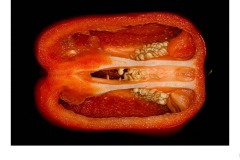 Caps/icum - Paul Fraser (Best - Set Subj B Grade - 25 Jun 2020 PDI)