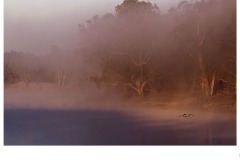 Sunrise  Pelicans in the mist - Lee-Anne Thomson (Commended - Open B Grade - 25 Jun 2020 PDI)
