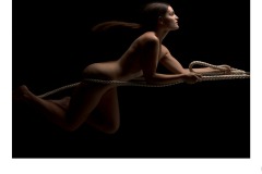 Hang on!! - Andrew Greig (Commended - Open B Grade - 25 Mar 2021 PDI)