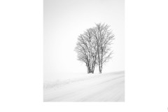 Road to Nowhere - Lesley Bretherton (Commended - Open A Grade - 25 Mar 2021 PDI)