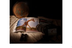 Safari, Abandoned - Bob Warfield (Best - Set Subj A Grade - 26 Aug 2021 PDI)