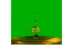 Umbrella - Colin Booth (Commended - Open A Grade - 26 Mar 2020 PDI)