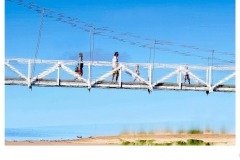 Lorne Swing Bridge - Ralph Domino (Best - Set Subj B Grade - 26 Mar 2020 PDI)