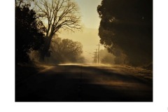 Morning - Geoff Roche (Highly Commended - Set Subj B Grade - 27 Aug 2020 PDI)