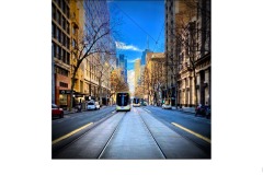 Peaceful  - Morgan Tobin (Commended - Set Subj B Grade - 27 Aug 2020 PDI)