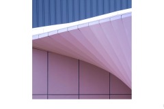 Pink Wave - Nicole Andrews (Commended - Open A Grade - 27 Aug 2020 PDI)