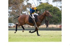 Polo 2 - Adrian Fisher (Commended - Open B Grade - 27 Aug 2020 PDI)