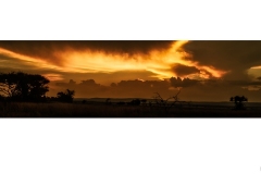 Sunset on African Veldt - Charles Wyatt (Commended - Open B Grade - Feb 2020 PDI)