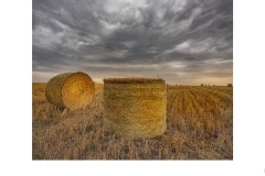 Hay Bales - Susan Rocco (Highly Commended - Open B Grade - Feb 2020 PDI)