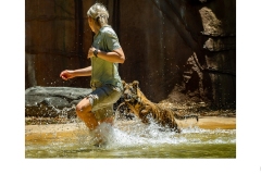 Playtime - Elizabeth Jackson (Commended - Set Subj B Grade - Feb 2020 PDI)