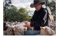 Getting a Drenching - Marg Huxtable (Commended - Set Subj A Grade - Feb 2020 PDI)