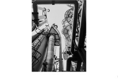 27 May 2021: PDI Award Winners: Judge – Scott McNaughton; Set Subject - Looking Up 