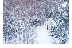 Furano Ropeway - Lesley Bretherton (Highly Commended - Set Subj A Grade - 27 May 2021 PDI)