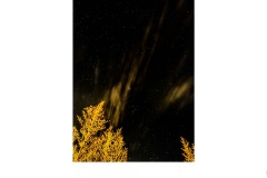Night Sky looking up - Alan Donald (Commended - Set Subj A Grade - 27 May 2021 PDI)