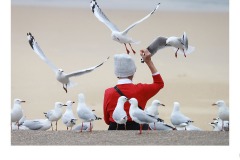 feeding the birds - David Gilliver (Best - Open A Grade - 27 May 2021 PDI)