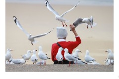 feeding the birds - David Gilliver (Best - Open A Grade - 27 May 2021 PDI)