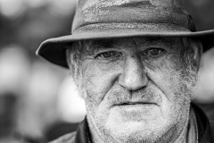 Geelong-Market-Paul-Dodd-Commended-Open-A-Grade-PDI-28-Apr-2022