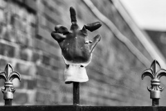 THE-FINGER-Jonathon-Otis-Highly-Commended-Set-Subject-B-Grade-PDI-28-Apr-2022