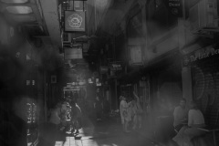 The-Earthly-Life-Daping-Chen-Commended-Set-Subject-B-Grade-PDI-28-Apr-2022