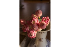 Golden-Mount-Still-Life-Carrie-Simms-Commended-Set-Subject-B-Grade-PDI-28-Jul-2022