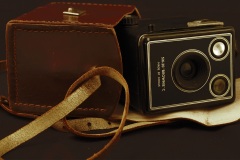 Old-Lee-Anne-Thomson-Commended-Open-B-Grade-PDI-28-Jul-2022