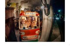 All aboard - Russell Mason (Best - Open B Grade - 28 May 2020 PDI)