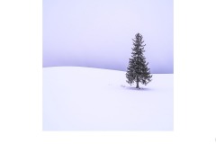 Blue Hour Biei - Lesley Bretherton (Best - Set Subj A Grade - 28 May 2020 PDI)