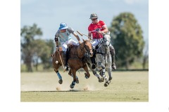 'Flying' Polo - Graeme Diggle (Highly Commended - Open A Grade - 28 May 2020 PDI)