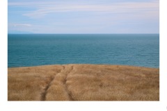 Track to nowhere  - Sophie Hunter (Commended - Set Subj B Grade - 28 May 2020 PDI)