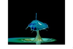 Untitled - Colin Booth (Commended - Open A Grade - 28 May 2020 PDI)