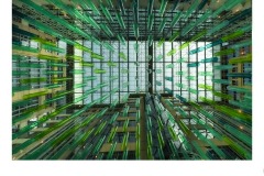 Warp Speed - Elizabeth Jackson (Commended - Open B Grade - 28 May 2020 PDI)