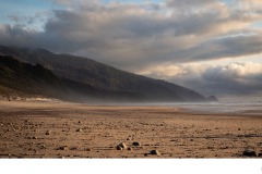 West Coast - Sophie Hunter (Highly Commended - Open B Grade - 28 May 2020 PDI)