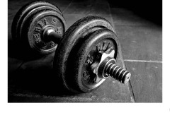 Working Out At Home. - James Mexias (Commended - Open B Grade - 28 May 2020 PDI)