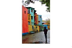 Colourful & Wet - Geoff Roche (Commended - Set Subj B Grade - 28 Oct 2021 PDI)