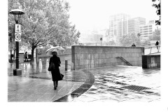 Drizzle - May Soon (Commended - Set Subj B Grade - 28 Oct 2021 PDI)