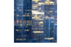 Rain - Robyn Faris (Highly Commended - Set Subj B Grade - 28 Oct 2021 PDI)