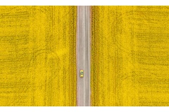 Driving-through-the-Canola-Ruth-Woodrow-Highly-Commended-Set-Subject-A-Grade-Print-08-Sep-2022
