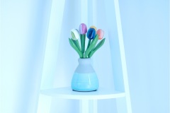 Glass-Tulips-Robin-Tully-Commended-Set-Subject-B-Grade-Print-08-Sep-2022