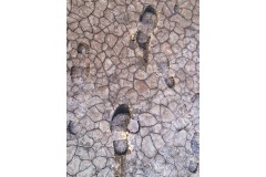 Salty-steps-Kaye-Linsdell-Best-Open-B-Grade-Print-08-Sep-2022