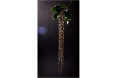Suspended-Ian-Bock-Highly-Commended-Open-A-Grade-Print-08-Sep-2022