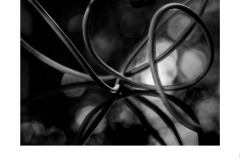 Curves mono 10 - Susan Rocco (Highly Commended - Set Subj B Grade - 9 Apr 2020 PDI)