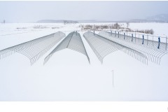 Greenhouse frames - Lesley Bretherton (Commended - Set Subj A Grade - 9 Apr 2020 PDI)