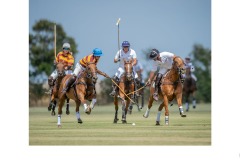 All eyes on the ball - Graeme Diggle (Best - Set Subj A Grade - 09 Jul 2020 PDI)