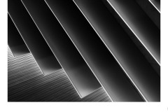 Altered - Elizabeth Jackson (Highly Commended - Open B Grade - 09 Jul 2020 PDI)