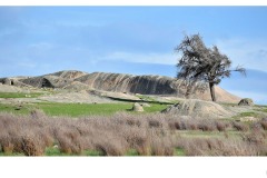 Dog Rocks - Adrian Fisher (Commended - Open B Grade - 09 Jul 2020 PDI)