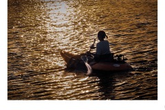 Going Home - Doug Jackson (Commended - Open B Grade - 09 Jul 2020 PDI)