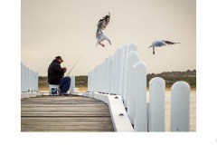 Gone Fishing - Marg Huxtable (Best - Open A Grade - 09 Jul 2020 PDI)