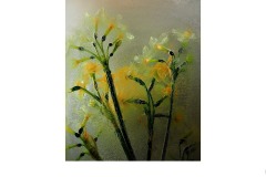 Portrait of Jonquil. - James Mexias (Commended - Open B Grade - 09 Jul 2020 PDI)